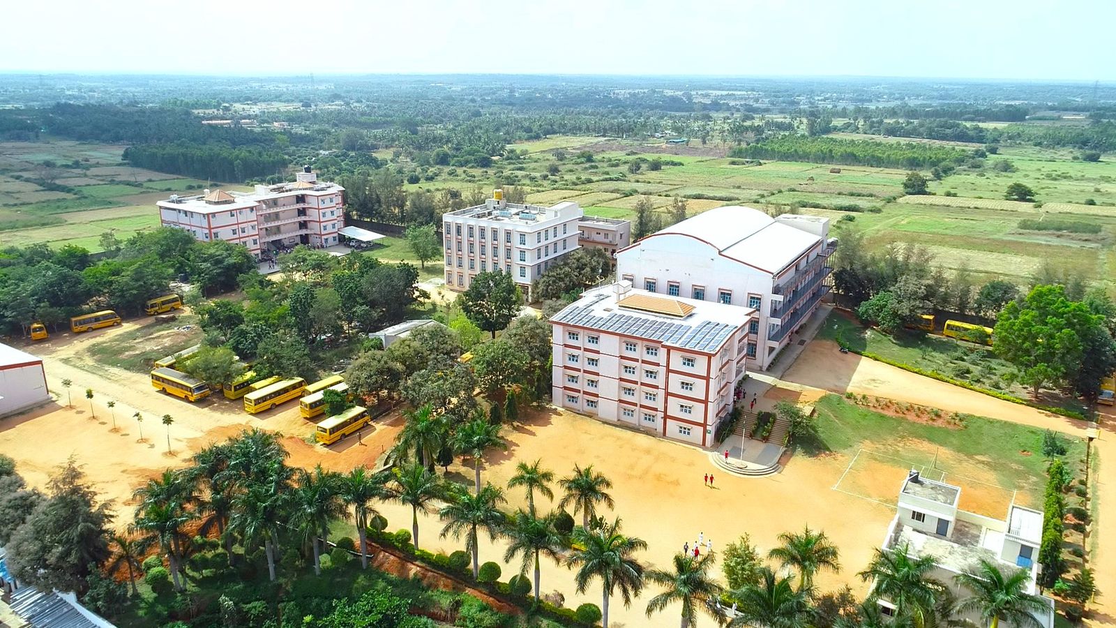Degree college